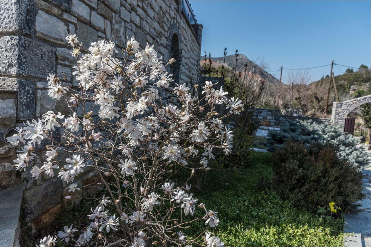 Stone Mansion Anavryti, Αμα 20569 Villa Mystras Buitenkant foto